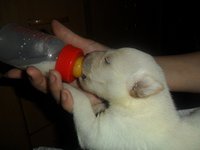 SAM_1203.JPG
