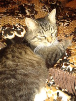 20120816_204125.jpg