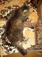 20120816_204144.jpg