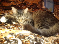 20120816_210116.jpg