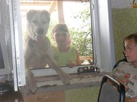 SAM_0579.JPG