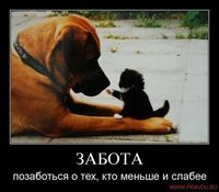 AO6VGT5CA8OMNZQCAHVDQ1BCAOP4RFXCAFDWRIDCAX6Z3LUCAL30EQJCALJIDY5CA4OHGMTCAHUEWC8CAT5DXGDCAEC2KIXCAIM6ZHECAYBQZHSCAO34UJVCAPV0F2ECACNL9OJCA8PIEZACAY73V9QCAF8GI95.jpg