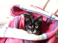 DSC05833.JPG