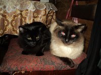 DSC02566_800x600.jpg