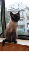 Сема-2.JPG