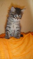 DSC04157.JPG