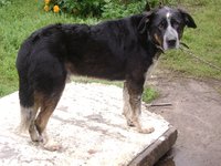 DSC05877.JPG