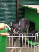 DSC05899.JPG