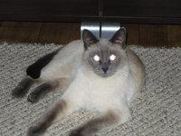 20120830223736_P1010677.JPG