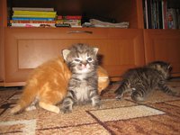 IMG_4883.JPG