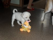 SAM_3646.JPG