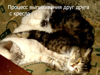 DSC03706.jpg