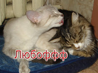 Изображение 007.jpg
