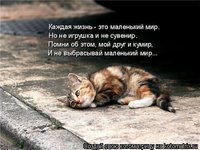 60319752_1275586692_kotomatrix_04.jpg