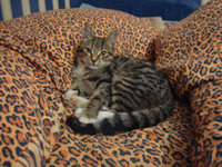 20120914000205_DSC03587.JPG