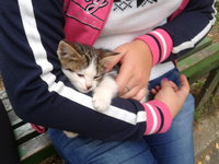 20120915_154155.jpg