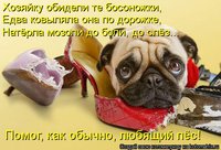 kotomatritsa_dC.jpg