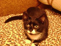 DSC06030.JPG