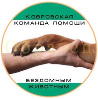 zyMJJjQY63M.jpg