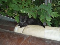 DSC04332.JPG