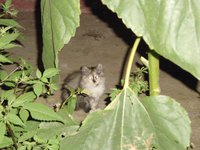 DSC04308.JPG