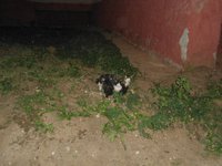 DSC04317.JPG