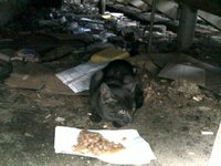030920122342.jpg