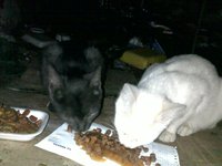 270820122337.jpg