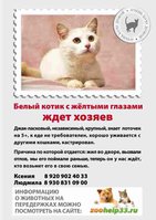 Копия джак.jpg