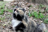 IMG_5021.jpg