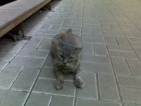 200920122376.jpg