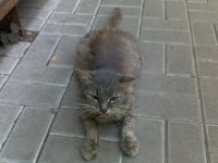 200920122377.jpg