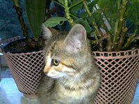 200920122382.jpg
