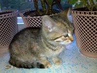 200920122388.jpg