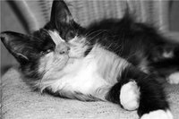284636916d30.jpg