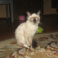 IMG_5060-1.jpg