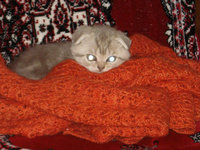 DSC00805.JPG