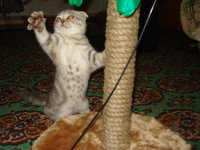 DSC01446.JPG