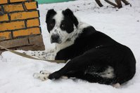 x_802552f6.jpg