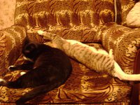 DSC06101.JPG