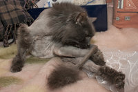 IMG_6673-web.jpg