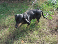 IMG_0128.gif