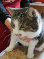 IMG_0144.gif