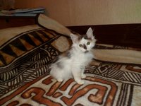 SAM_1156.JPG