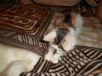 SAM_1166.JPG