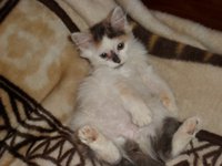 SAM_1180.JPG