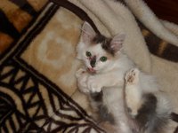 SAM_1181.JPG