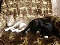 DSC06181.JPG