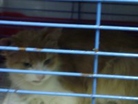 DSC06215.JPG