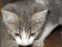 DSCN6127.JPG